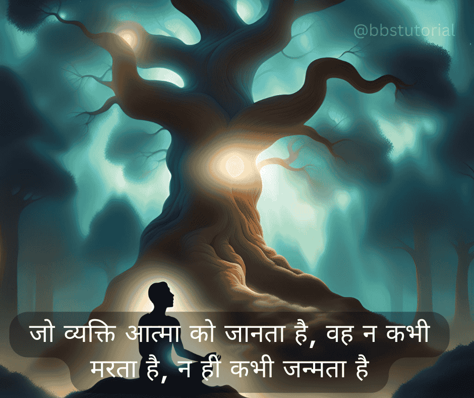 Bhagavad Gita Quotes in Hindi